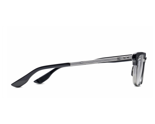 Glasses Dita STATESMAN SIX DTX132