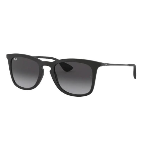 Ray-Ban Zonnebril RB4221