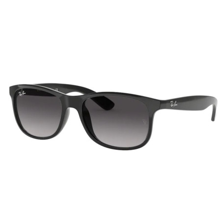 Ray-Ban Zonnebril RB4202