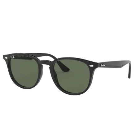 Ray-Ban Zonnebril RB4259