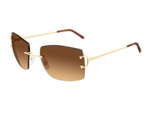 lunettes Cartier - lunettes Cartier Piccadilly - Lunettes Cartier rectangle