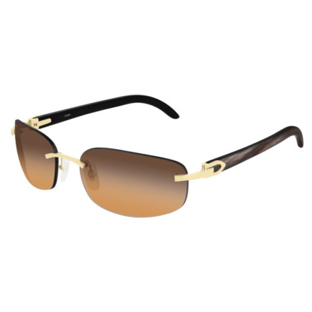 Cartier Zonnebril Corne Décor C CT0020RS