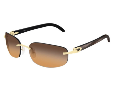 83350-lunettes Cartier - lunettes Cartier rechthoek - lunettes Cartier Corne