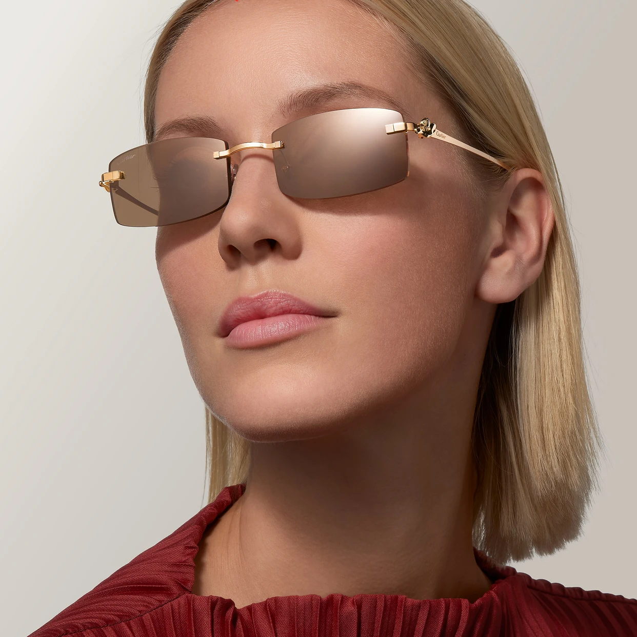 CARTIER PRECIOUS